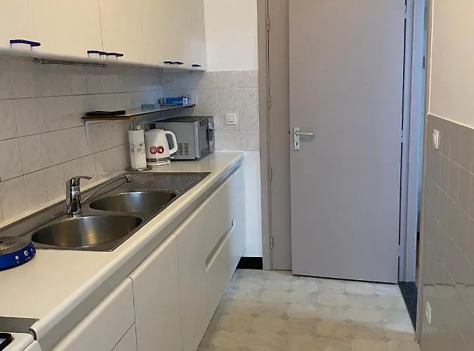 Haik's Palace 公寓 奥斯滕德